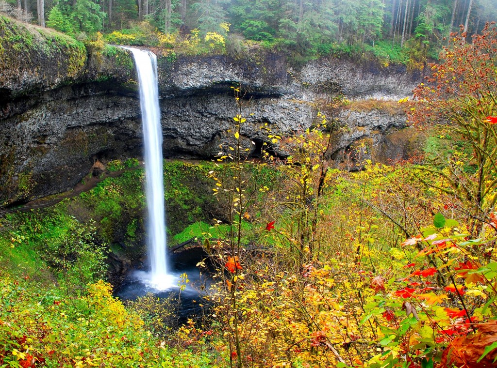 The Road Less Traveled Silver Falls State Park, Oregon Road Trips