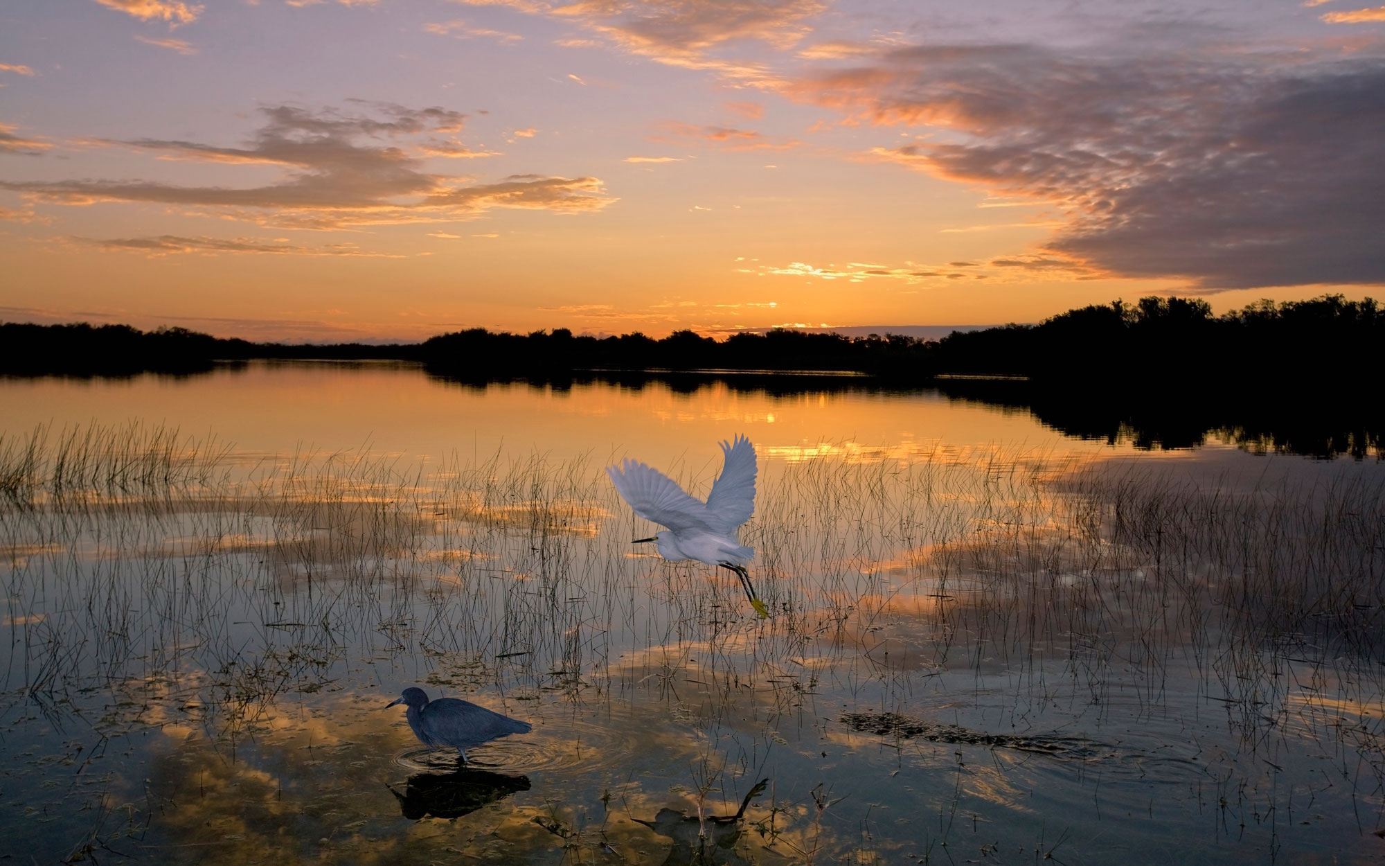 Everglades National Park whispers to you Road Trips with Tom